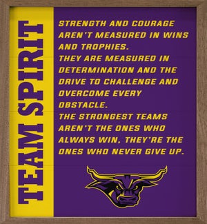 Team Spirit Minnesota State University Mankato